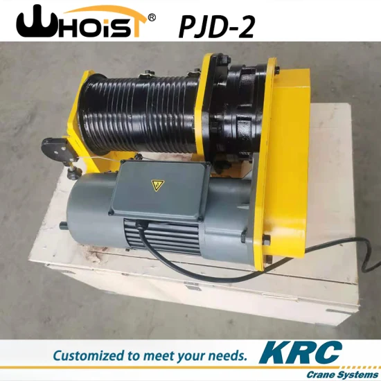 Double Brake Electric Winch 500kg